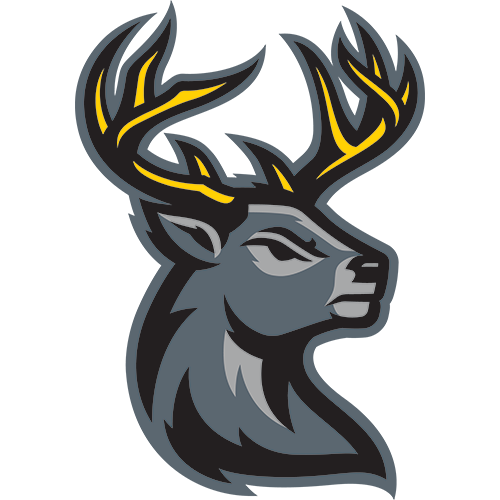 Iowa Heartlanders at Cincinnati Cyclones