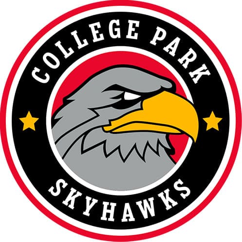 College Park Skyhawks vs. Austin Spurs