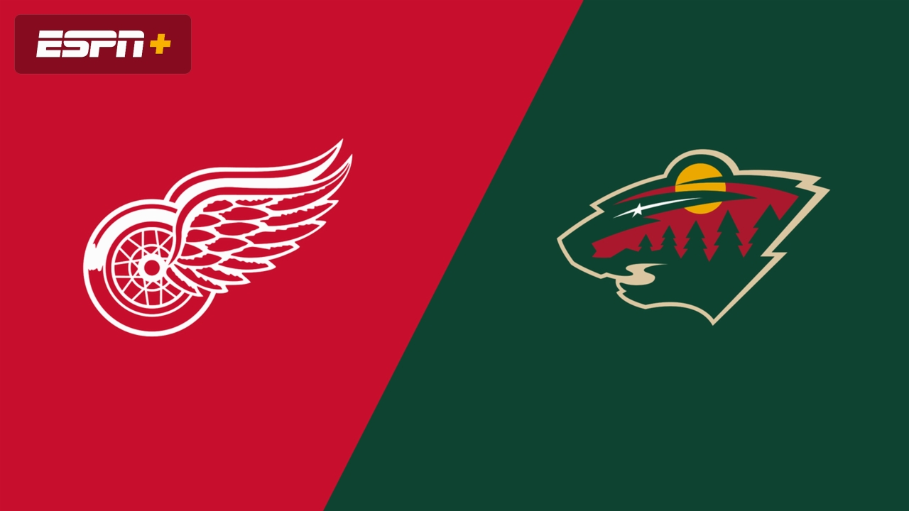 Minnesota Wild at Detroit Red Wings