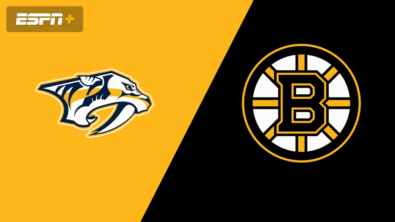 Nashville Predators at Boston Bruins